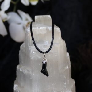 Figa Azabache hangertje 925SS