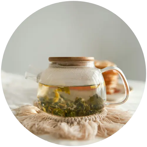 in-omnia-categorie-02