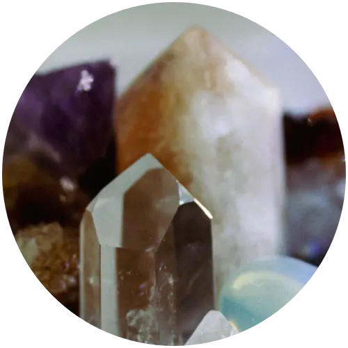 in-omnia-categorie-03