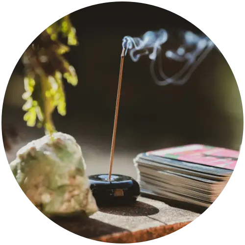 in-omnia-categorie-04