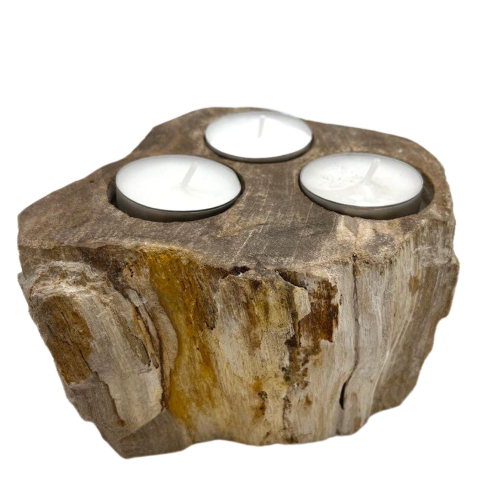 Petrified Wood Candle Holder - Triple - Afbeelding 4