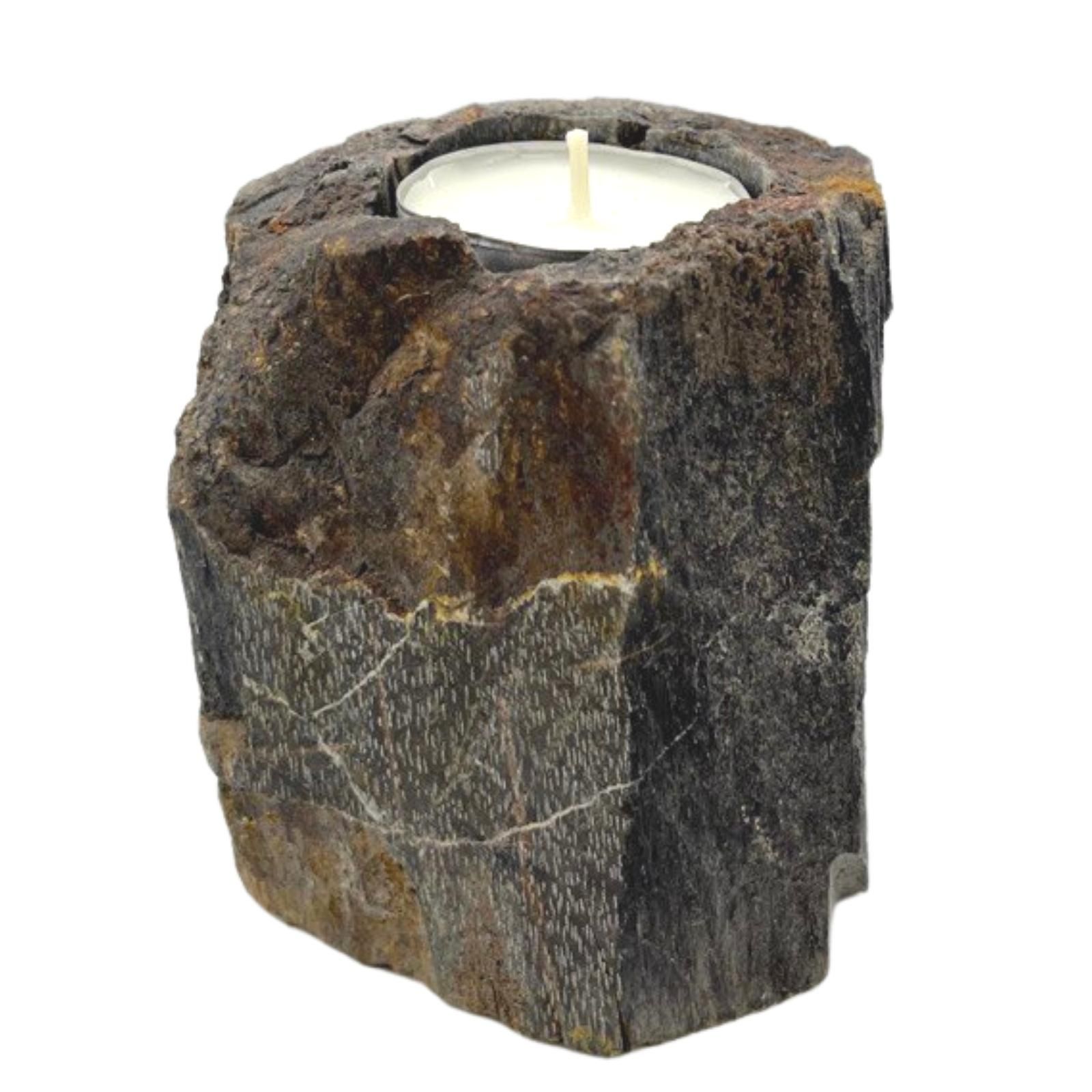 Petrified Wood Candle Holder - Single Low - Afbeelding 4