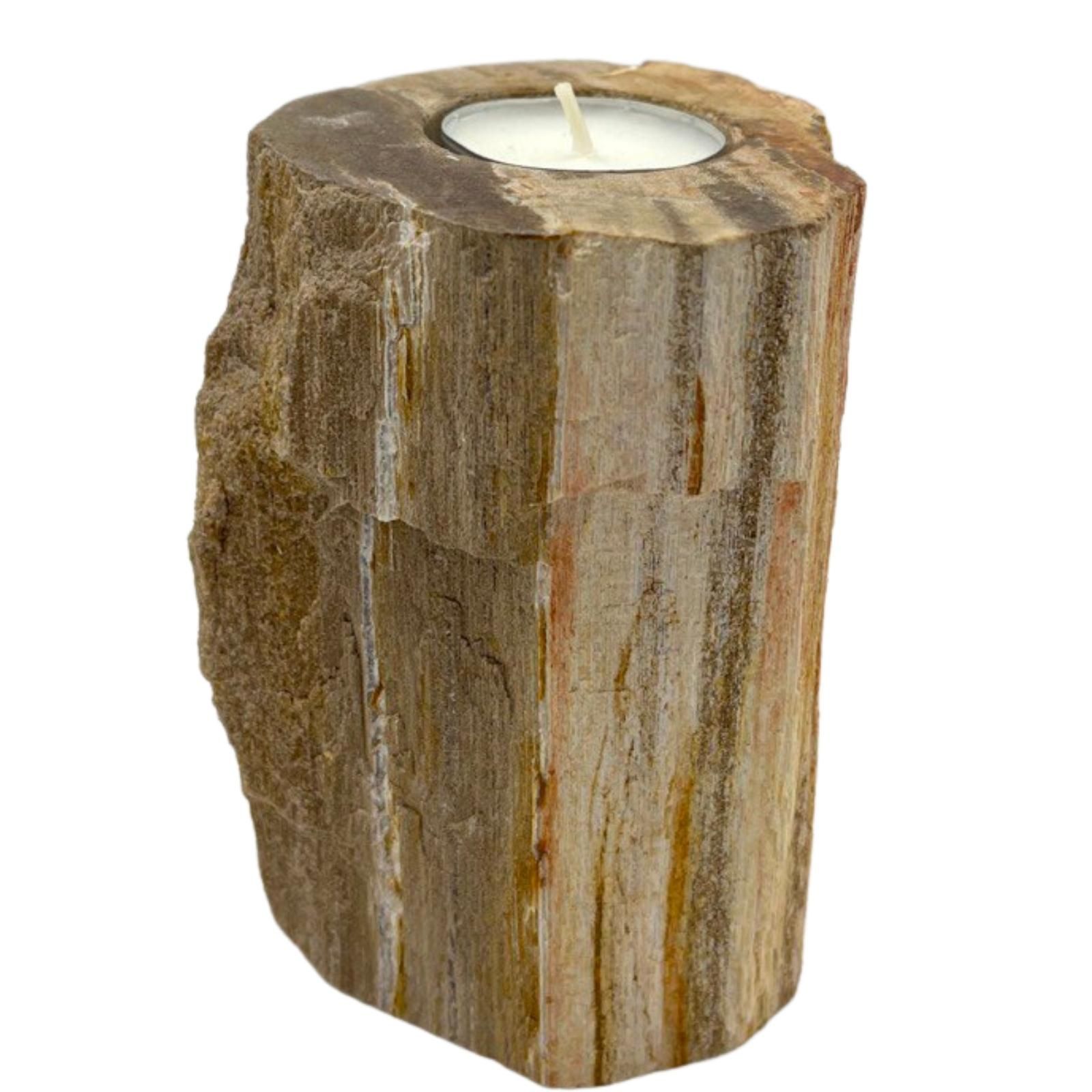 Petrified Wood Candle Holder - Single Tall - Afbeelding 3